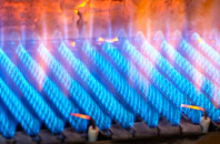 Wellington Heath gas fired boilers